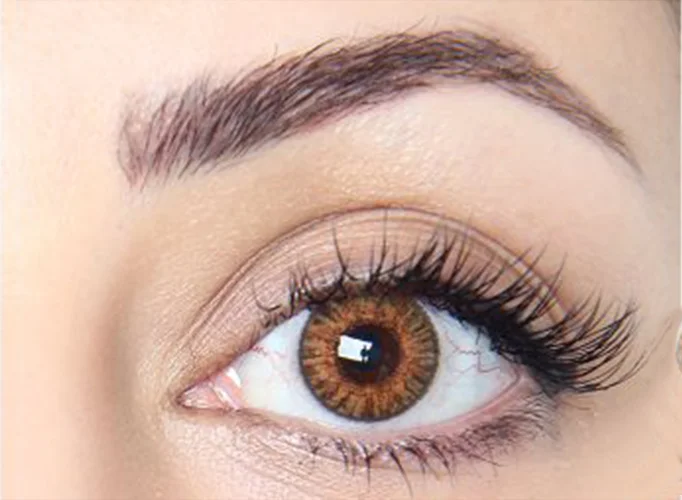 لنز رنگی فصلی فرشلوک Freshlook ColorBlends_honey
